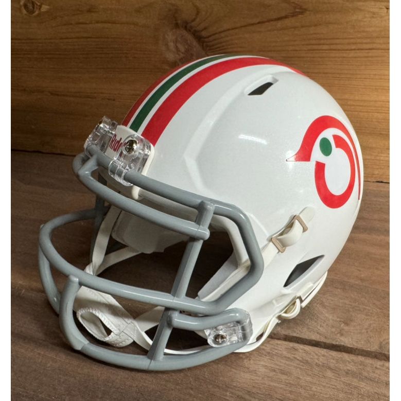 Custom Seattle Dragons Mini Helmet hot