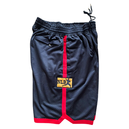 Birmingham Black Barons Shorts